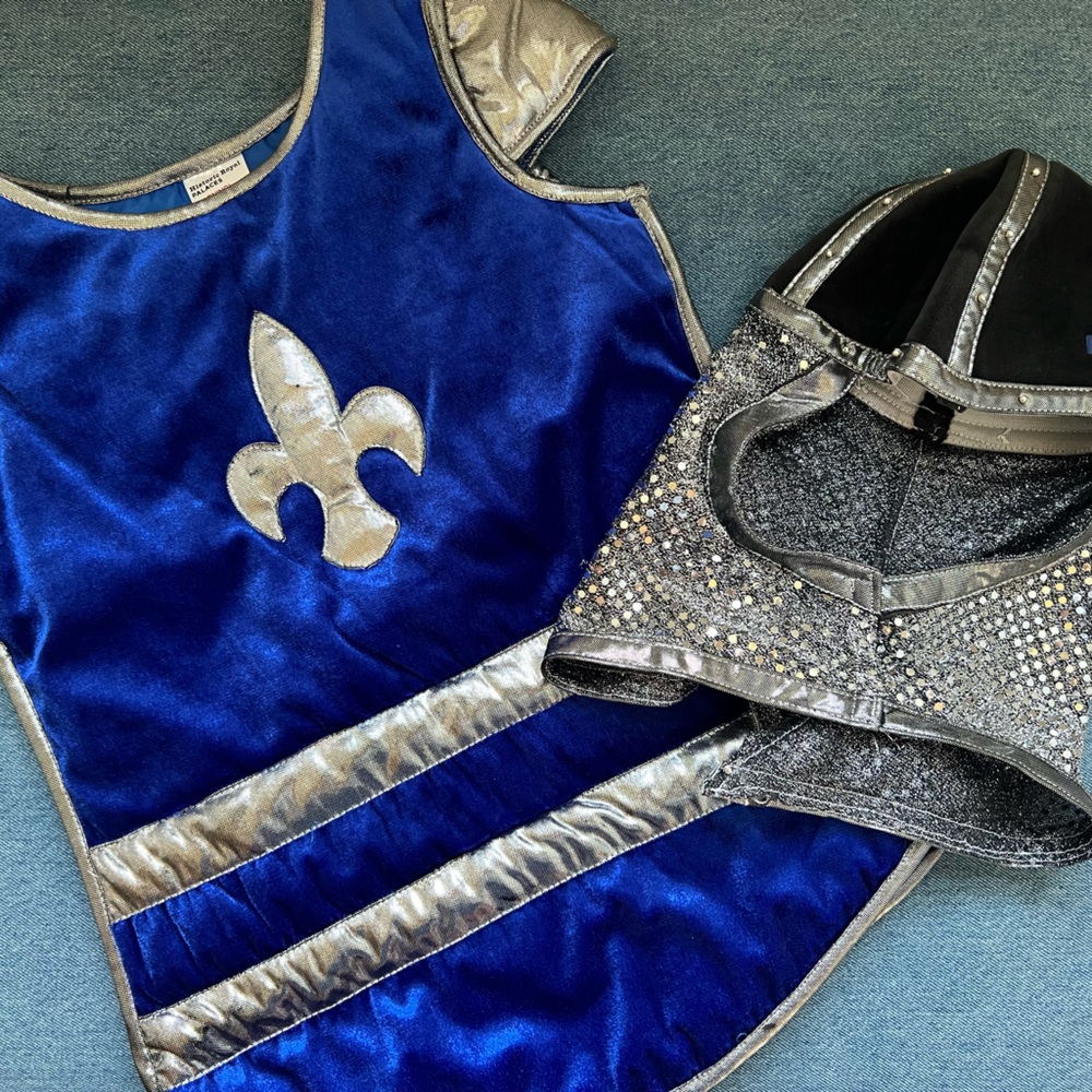 Royal Palace Shops kids medieval  knight costume